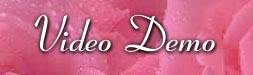 Wedding Video Demos
